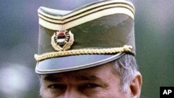 塞尔维亚战争犯姆拉迪奇