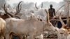 A woman from the cattle herding Mundari tribe walks early morning in a settlement near Terekeka, Central Equatoria state, south Sudan, January 19, 2011. 