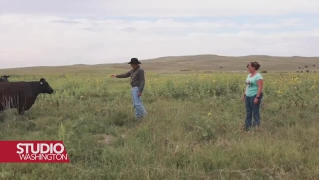 Može li "fini političar iz Nebraske" pobijediti ruralnu Ameriku?