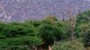 16x9 Image