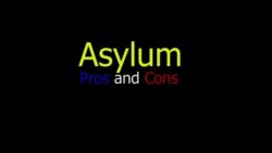 Asylum in the US: The Pros and Cons