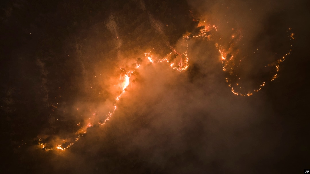 Trees burn as flames and smoke engulf an area in Santa Juana, Chile, Feb. 6, 2023.