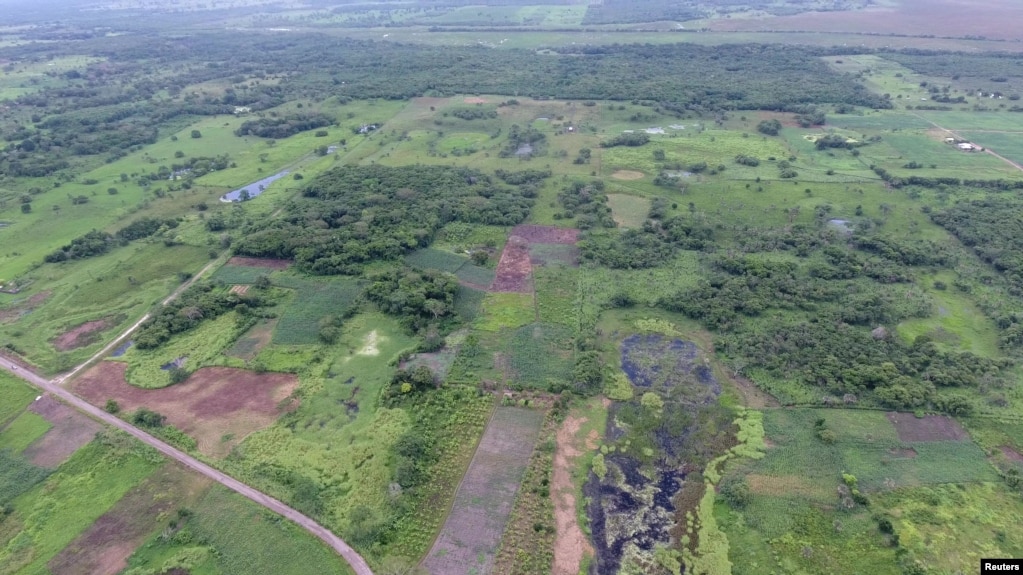 An aerial view of the ancient Maya Aguada Fenix site in Mexico's Tabasco state, with causeways and reservoirs in the front and the Main Plateau in the back, is seen in this image released on June 3, 2020. (Takeshi Inomata/Handout via REUTERS)