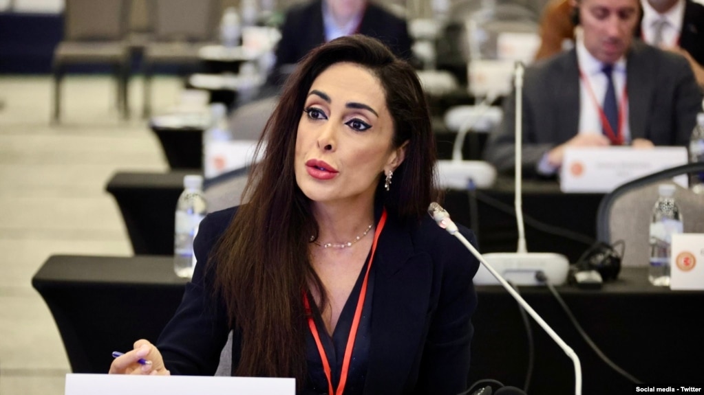 دریا صفایی، نماینده پارلمان بلژیک (برگرفته از حساب کاربری خانم صفایی در شبکه اجتماعی ایکس @SafaiDarya)