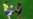 Germany Crushes Brazil 7-1 in World Cup Semifinal