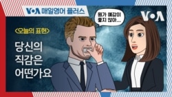 [VOA 매일 영어 플러스] 당신의 직감은 어떤가요?