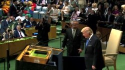 Reaksi Wapres Jusuf Kalla terhadap Pidato Donald Trump di PBB