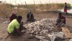 Des pêcheurs se disent victimes de racket d’hommes en tenue de sécurité