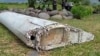 Barnacles on Debris Could Provide Clues to Missing MH370 