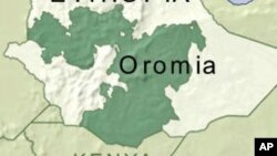 100 Ethiopian Oromo Rebels Surrender