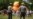 16x9 Image