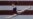 Gymnast Could Lead US Team to Olympic Gold