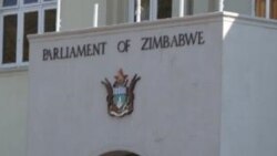 Interview With Effort Nkomo on Local Govt Laws Amendment Bill
