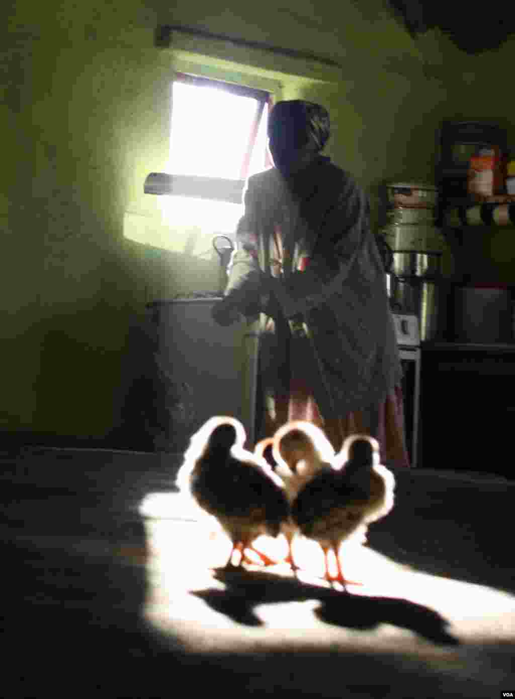 One of Ikhaya Loxolo&rsquo;s female residents feeds chickens in the home&rsquo;s dining hall (VOA/Taylor) 