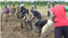 Des ex-combattants se reconvertissent dans l'agriculture dans l'est de la RDC 