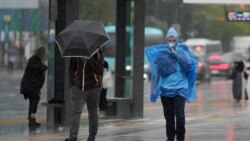 日本受到颱風吹襲