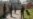 Assailants Fatally Shoot 2 Schoolteachers in Kashmir