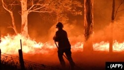 Kebakaran hutan yang melanda dekat kota Nowra di negara bagian New South Wales, Australia masih terus memburuk dan belum dapat diatasi (foto: dok). 
