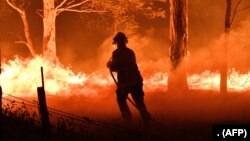 Cảnh dập cháy rừng ở Úc hôm 31/12.