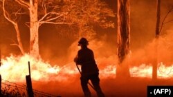 This picture taken on December 31, 2019 shows a firefighter hosing down trees and flying embers in an effort to secure nearby houses from bushfires near the town of Nowra in the Australian state of New South Wales.