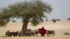 Researchers: Climate Change May Turn Africa's Arid Sahel Green