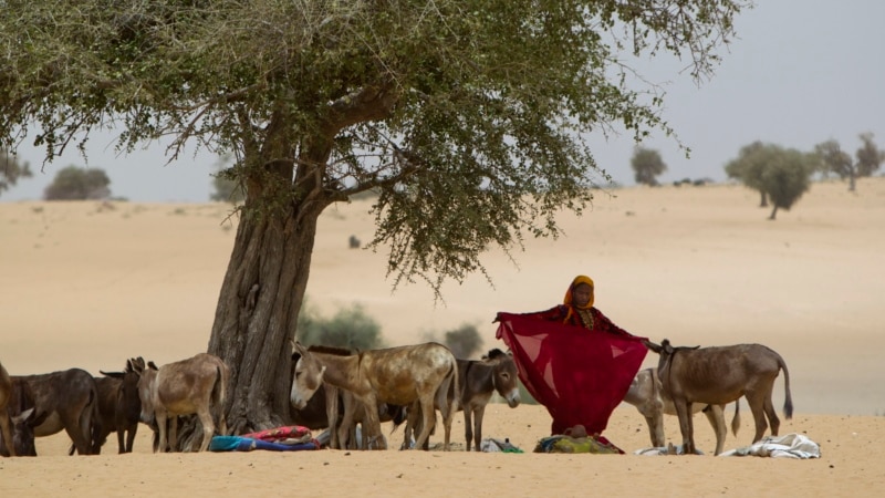 L'insécurité alimentaire s'aggrave au Sahel, l'ONU se dit inquiète