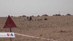 Hewlên Paqijkirina Mayinên DAIŞ'ê li Reqa Didomin