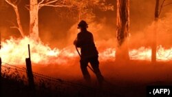 2019年12月31日消防员在澳大利亚新南威尔士灭火。