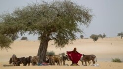 Abdelkerim Yacoub Koundougoumi joint par Nathalie Barge