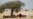 Researchers: Climate Change May Turn Africa's Arid Sahel Green
