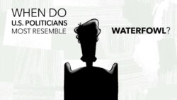 Explainer: Lame Duck