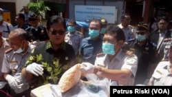 Pemusnahan benih jagung asal Thailand yang mengandung bakteri dan hama penyakit di Surabaya, 24 Agustus 2017. (VOA/Petrus Riski)