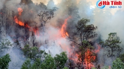 Cháy rừng ở Hà Tĩnh. Photo: Báo Hà Tĩnh
