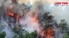 Cháy rừng, nói về phòng cháy chữa cháy ở Việt Nam