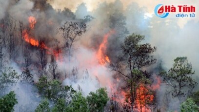 Cháy rừng ở Hà Tĩnh. Photo Báo Hà Tĩnh