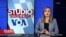 Studio Washington
