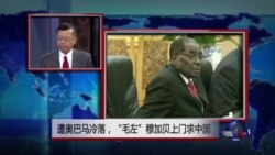 媒体观察：遭奥巴马冷落，“毛左”穆加贝上门求中国