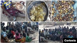 Angolanos que residem em zonas rurais sofrem com a seca e a fome no município dos Bundas, Moxico. 