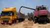 Zimbabwe Expecting Largest Ever Wheat Harvest