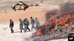 Polisi Afghanistan membakar narkoba dan minuman keras hasil sitaan di Jalalabad, sebelah timur ibukota Kabul (foto; dok).