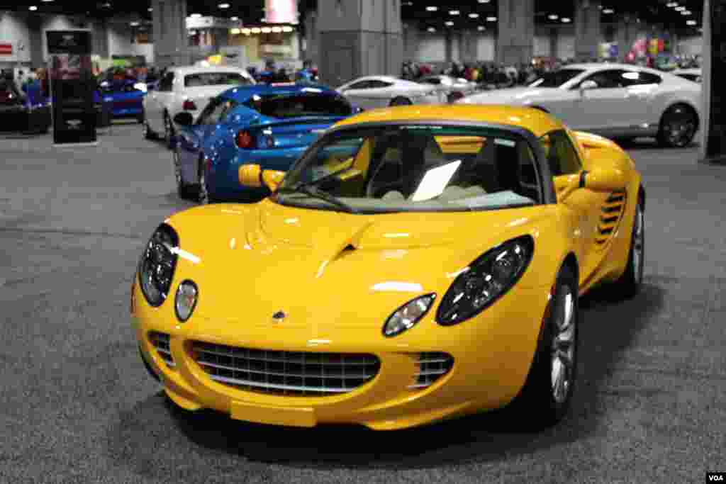 Lotus