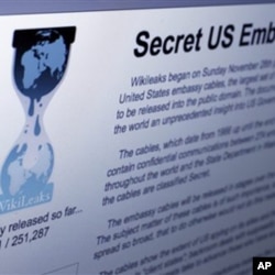 The Internet homepage of Wikileaks is shown in this photo taken in New York, Wednesday, Dec. 1, 2010.