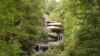 Rumah Fallingwater Padukan Desain Kontemporer dengan Alam