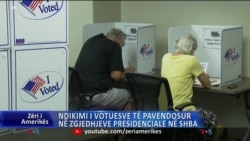 Ndikimi i votuesve të pavendosur në rezultatin e zgjedhjeve presidenciale në SHBA  