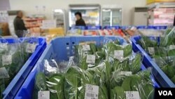 Estas son las espinacas de una cooperativa de agricultores, pero pocos quieren comprar los productos de Nihonmatsu.