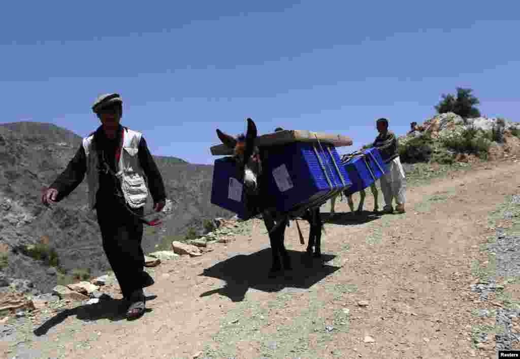 Afghan men lead donkeys loaded with ballot boxes and other election material to be transported to polling stations which are not accessible by road in Shutul, Panjshir province. The second round presidential election will be held on June 14.