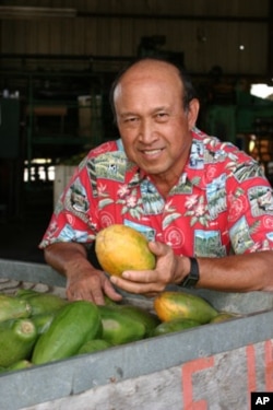 Dennis Gonsalves and his creation, the Rainbow papaya