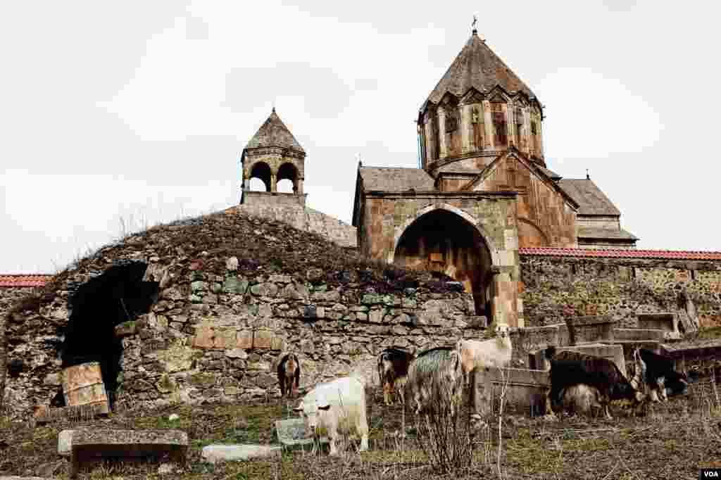 Goats graze outside the monastery at Gandzasar. Dating back to the 10th century, Gandzasar, or 'hilltop treasure' is the seat of the Armenian archbishop of Nagorno-Karabakh. (U. Filimonova/VOA)