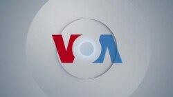 VOA Our Voices 306: Wildlife Conservation to Prevent Another Pandemic 