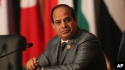 Egyptian President Abdel Fattah al-Sissi says Nov. 23, 2016, his country’s support of the Syrian regime against what he called “extremists” is necessary for the stability of the region.